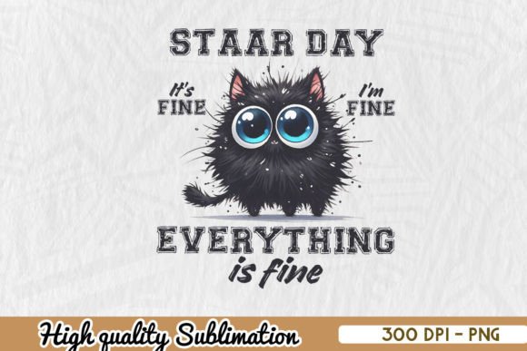 Test Day Black Cat Teacher PNG Review